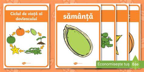 Diagrama: ciclul botulismului infantil și mecanismele de apărare ale organismului la sugari