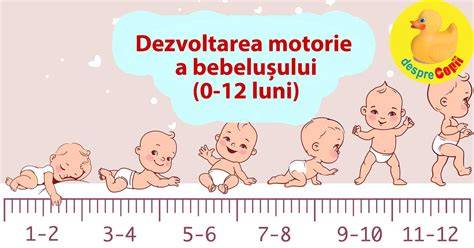 Schema lunilor de dezvoltare a bebelusului