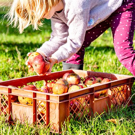 Copil zambind in natura