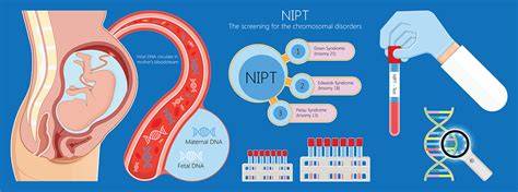 Infografic: schema flux screening NIPT vs diagnostic