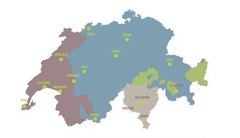 suporturi-bretele-landou-infografie