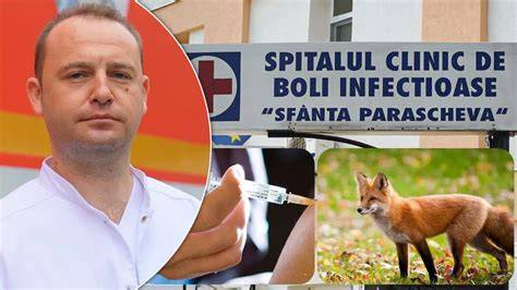 Infografic: traseu de acces la cabinetul dr. Suhastru din Sibiel