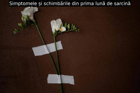 Infografic: simptomele și schimbările săptămânii 7 de sarcină