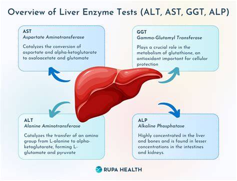 Infografic: geneza schimbărilor hepatice în sarcină, cu atenție la ALT/AST, ALP și bilirubină