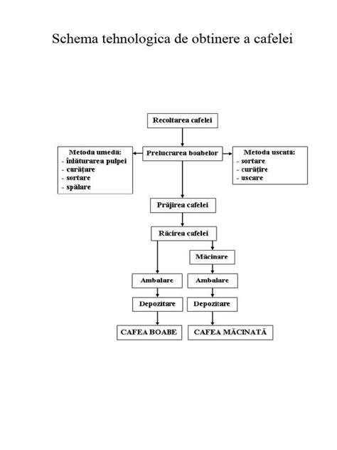 Diagramă a modului de preparare a ceaiului de ienupăr