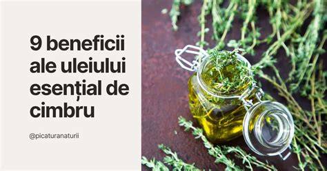 Schema administrării uleiului esențial de ienupăr (intern, extern, inhalații)