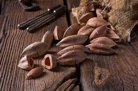 Infografic cu beneficiile nucilor și scorțișoarei pentru copii