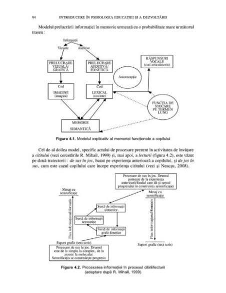 Imagine: reprezentare vizuală a stafidelor și a modurilor de introducere în dieta bebelușilor