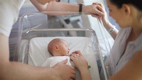 Infografic: fluxul îngrijirii copiilor în secția pediatrie neonatologie