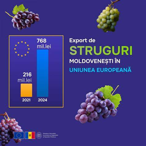 Infografic: Beneficiile nutrienților din struguri pentru bebeluși