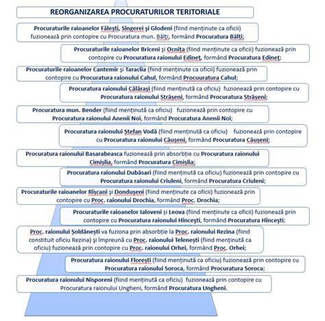 Infografic: Descriere generală a entității Ghelbereu M. Sorin CMI