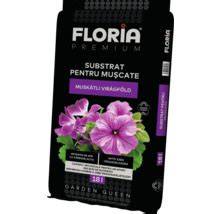 Mușcate plantate pentru repelent