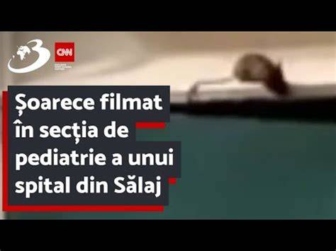 Infografic: Fluxul îngrijirii în secția de pediatrie, de la triage la externare