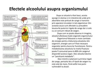 Schema efectelor alcoolului asupra dezvoltării embriofetale
