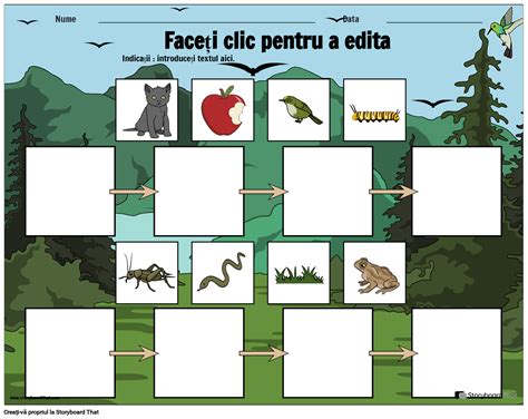 Infografie: Lanț alimentar sigur pentru sarcina, cu accent pe lactate pasteurizate