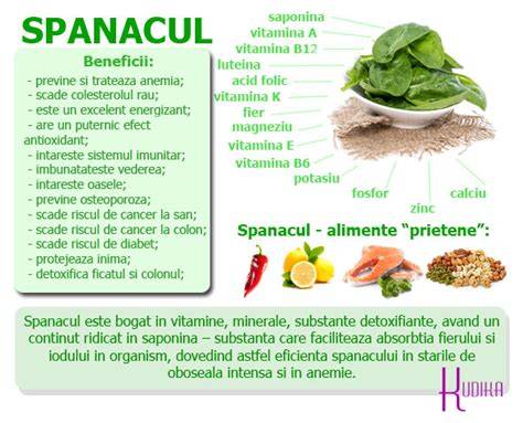 Infografic: Beneficiile spanacului pentru copii și cum să-l pregătești corect