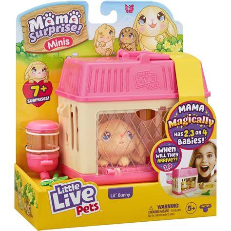 Seturi Little Live Pets - joaca de rol si ingrijire