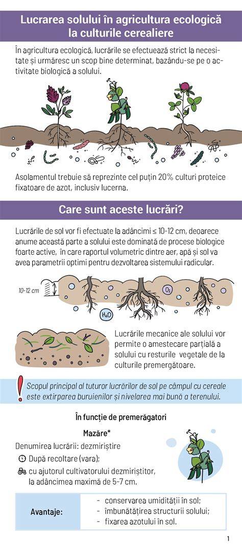 Infografic: 