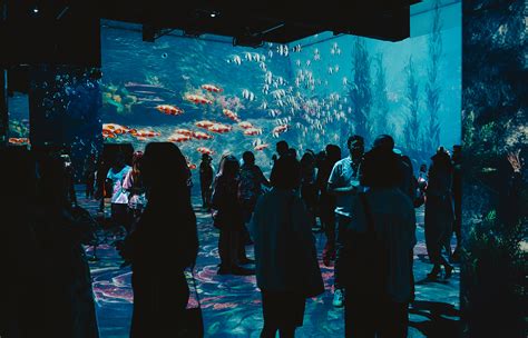 Vizitatori interacționând cu o instalație luminoasă la Muzeul Imersiv Mina