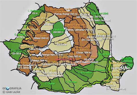 Infografic: tipuri de sol din România și caracteristici principale