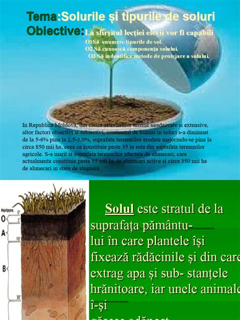 Infografic - Comparație între tipuri de sol în agricultură: soluri grele vs. soluri ușoare, influența asupra rădăcinilor și drenajului