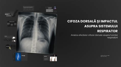 Grafic: impactul patlaginei asupra sistemului respirator