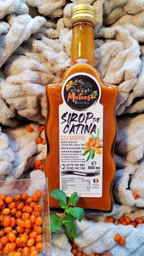 Imagine ilustrand plantele de catina si formele de ambalare (sirop, ulei, capsule)