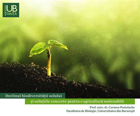 Infografic despre fertilitatea solului: factori naturali și agricultură regenerativă