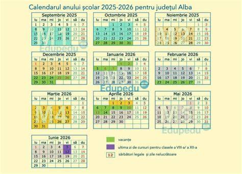Grafic: structuri alternative ale anului școlar în diverse țări