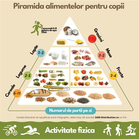 Infografic cu piramida alimentară adaptată pentru copii de 1-3 ani.