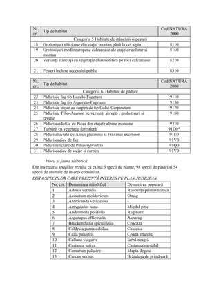 Plan partial al facilitatii: etajele, blocuri operatorii, ATI si centru imagistic
