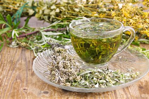 Compoziția plantelor din bitterul suedez