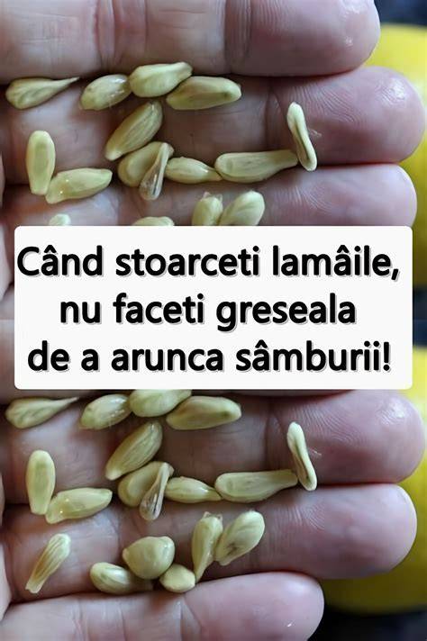 Infografic despre beneficii nutriționale ale semințelor de floarea-soarelui
