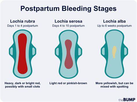 Lohia postpartum - aspect si timp