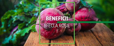Infografica: Beneficii ale sfeclei roșii pentru bebeluși, componente și recomandări de introducere