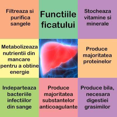 Infografic - procesarea bilirubinei in ficat si rolul enzimei UGT1A1