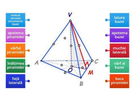 Diagramă a straturilor scutecului