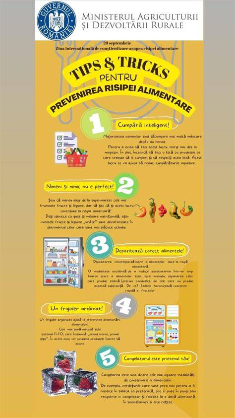 Infografic: utilizarea corecta a scutecelor si evitarea materialelor nepotrivite
