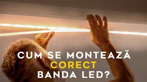 Schematizare: cum se montează corect un scutec de adult