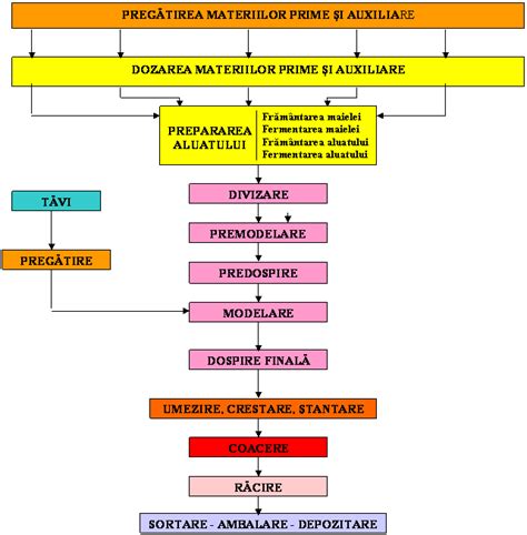 Diagrama unei operații complexe de reconstrucție