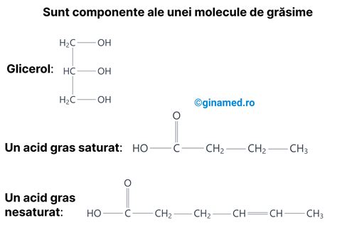 Diagrama ficatului cu depozite de grăsime