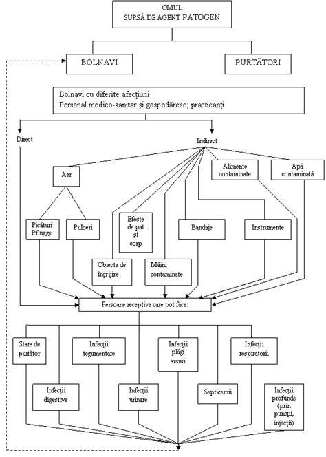 Diagrama modurilor de transmitere a păduchilor în comunități