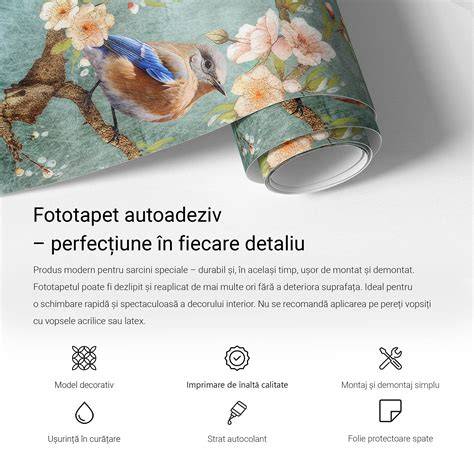 Diagrama difuzie fiertermică în pereți antifoc CA1/CA2 pentru cabinet medical