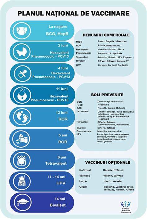 Infografic - Planul de îngrijire în pediatrie: pași și componente