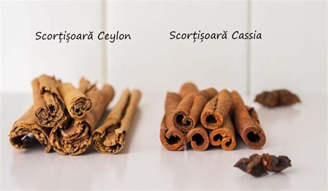 Imagine infografic: tipuri de scortisoara Cassia vs. Ceylon