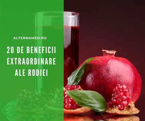 Schema: fluxul de beneficii ale scortisoarei in organism