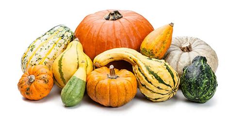 Diferite soiuri de dovleac