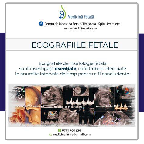 Ecografie fetala la 24 săptămâni: semne de viabilitate
