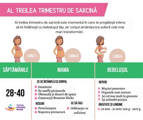 Infografic: cum se calculează sarcina pe cârlig