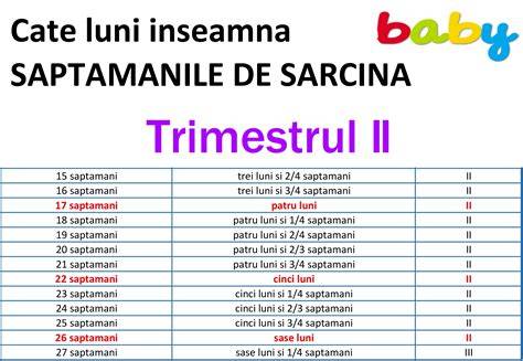 Grafic: sarcina pe trimestre - dezvoltare făt și schimbări la mamă
